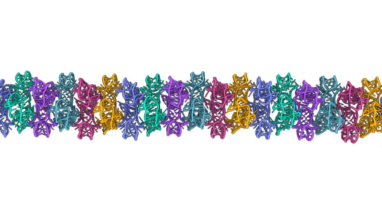 RNA World Gets a Boost: New Study Shows RNA Can Form Complex Filaments and Icosahedral Cages