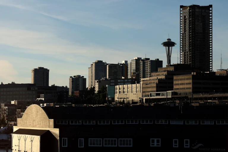 Seattle downtown vacancy crisis