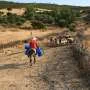 Tunisia heat wave power cuts