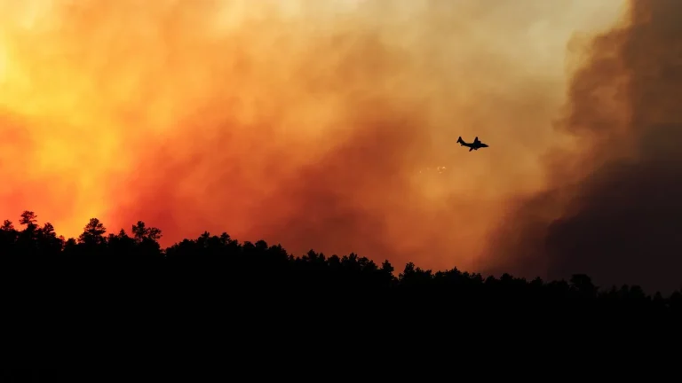 Wildfire risk July 4 landscape