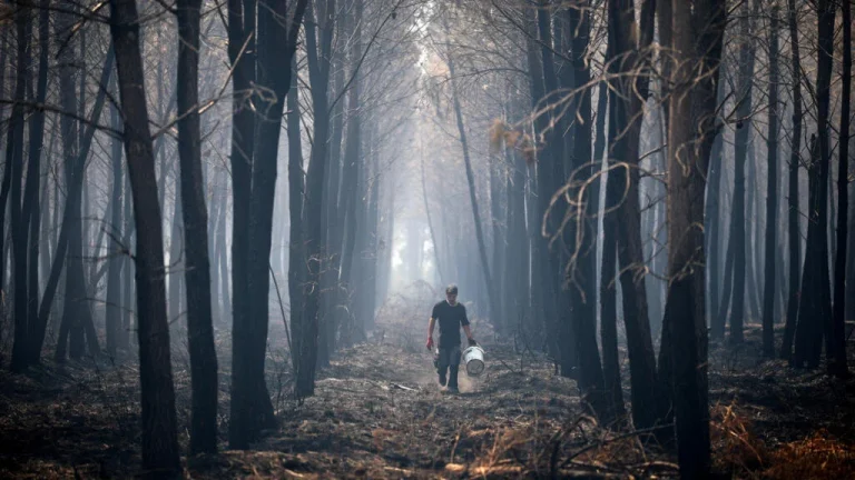 Spain evacuations wildfire heatwave