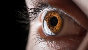 3D printed cornea implant
