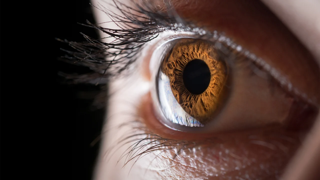 3D Printed Corneas Poised to End Global Donor Shortage and Restore Sight