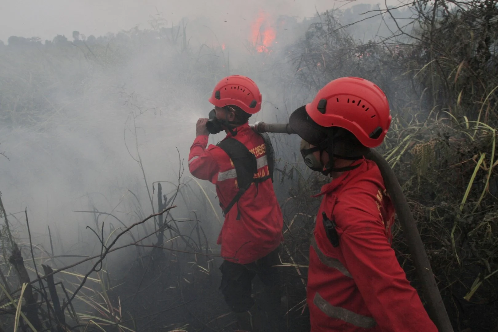 Borneo island wildfires Send Toxic Smoke Over Indonesia