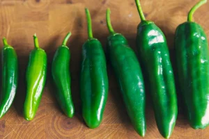 CDC Salmonella jalapeño alert