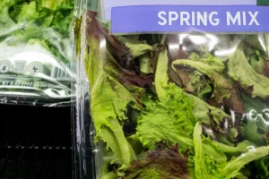 Cyclospora outbreak Michigan fatalities
