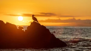El Niño stronger climate intensification