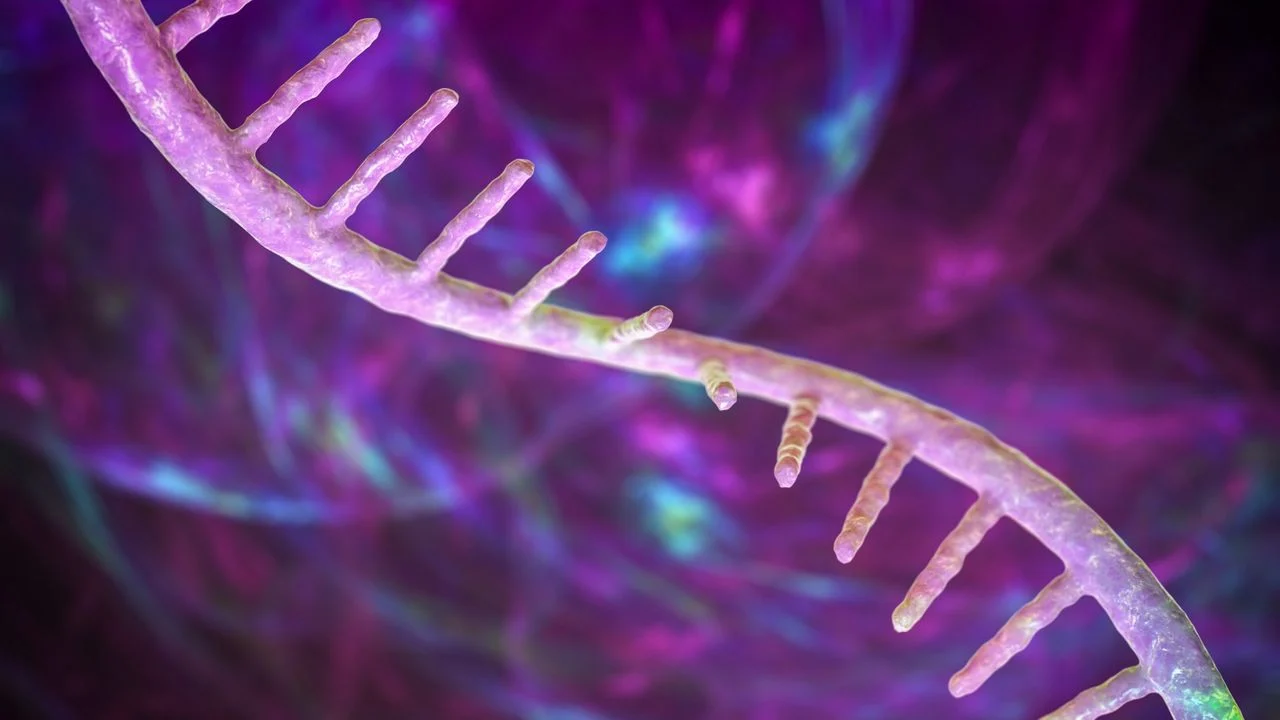 FDA mRNA Vaccine Approval Doesn’t Signal Policy Turnaround, Experts Warn
