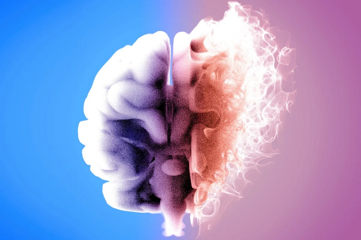 How trauma memory reshapes conscious perception