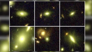 JWST reveals hidden dwarf stars