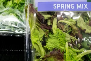 Lettuce safety and cyclosporiasis update