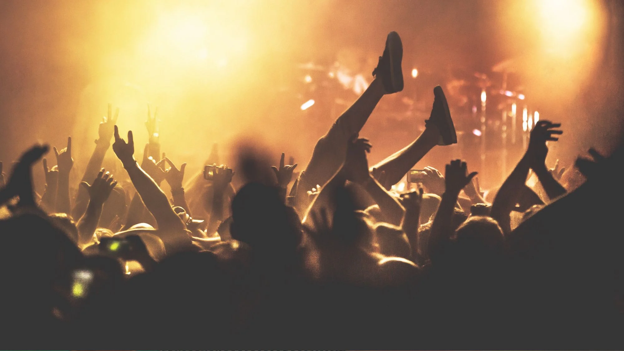 Metal Concert Poop Incident Forces Show Pause in Dunedin