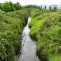 Restored buried urban stream