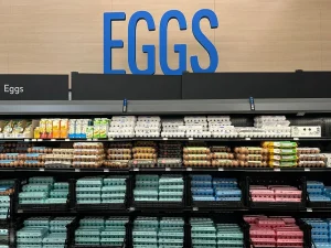 Class I salmonella egg recall