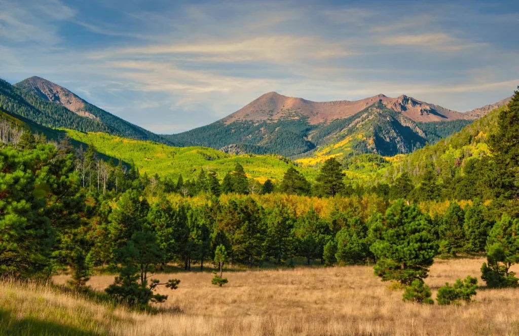 Trump Pushes to Repeal Roadless Area Conservation Rule, Threatening 44 Million Acres