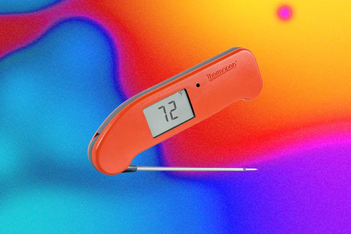 Why a Temperature Probe Is the Ultimate Kitchen Weapon Against Salmonella