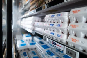 Food recalls surge 2024 news