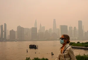 Wildfire smoke prenatal health threat