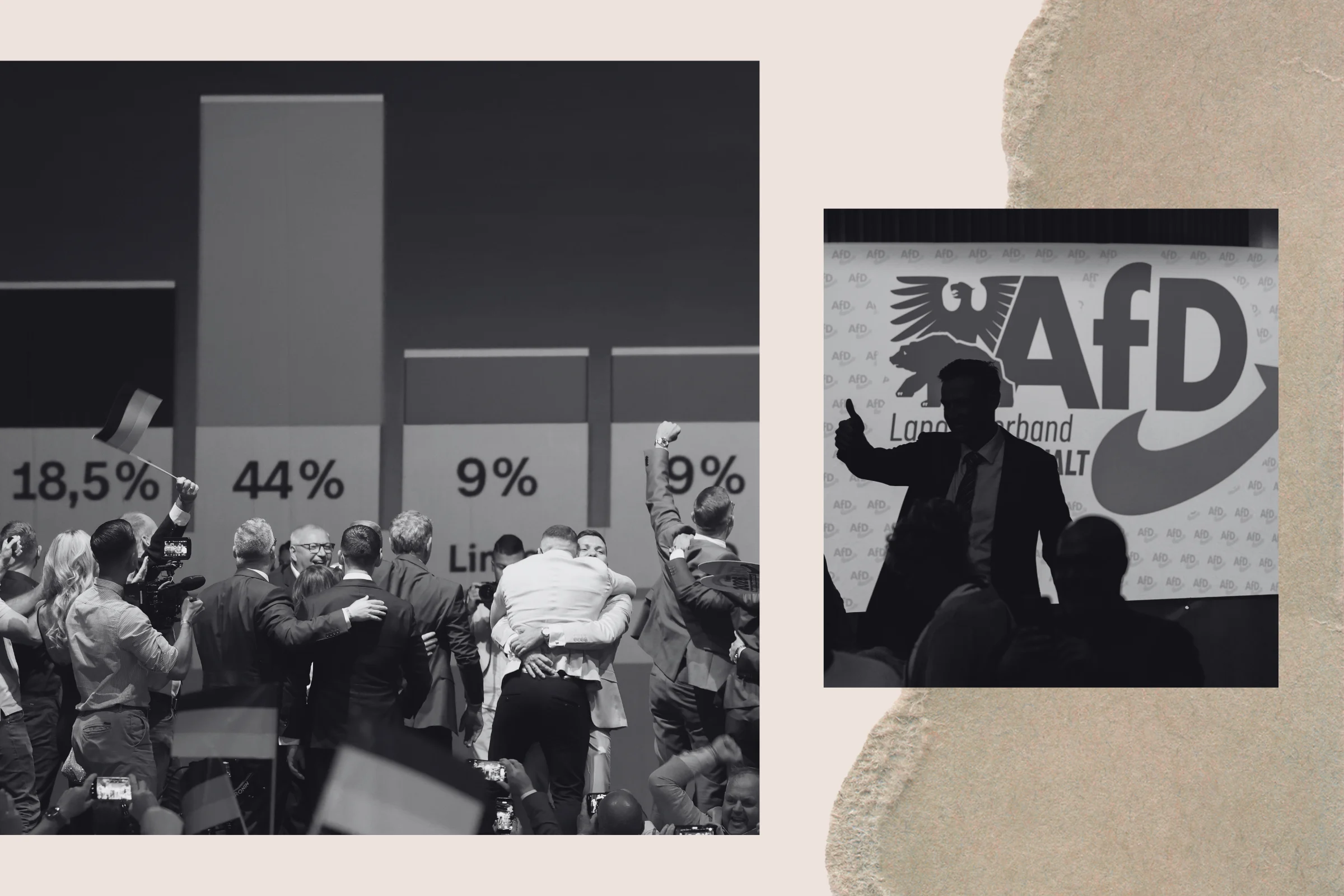 AfD’s Hard‑Line Blueprint Threatens Germany’s Future