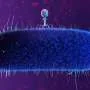 AI-guided mutations lab breakthrough