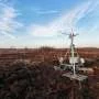 How Rewetting Peatlands Could Slash Warming‑Driven CO₂ Emissions
