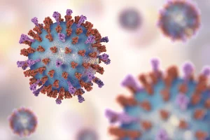 RSV vaccines protect seniors